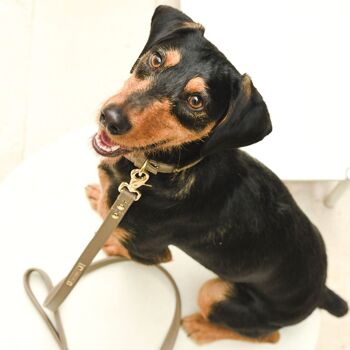 Petsochic dog leash - Cognac Brown - L 2