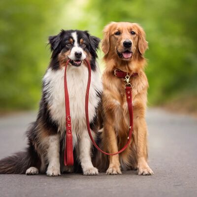 Petsochic dog leash - Magnetic Red - L