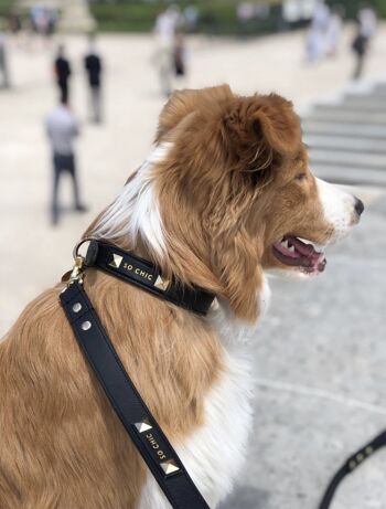 Petsochic dog leash - Mystery Black - M 5