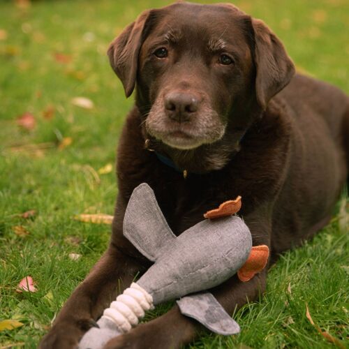 Petsochic Dog toy - duck