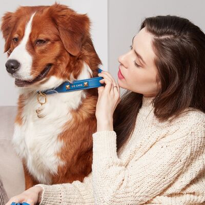 Petsochic dog collar - Royal Blue- XS