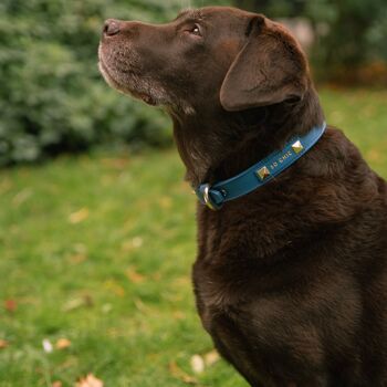 Petsochic dog collar - Royal Blue- XS 3
