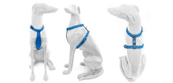 Petsochic dog harness blue - Y - Blue XXL 3