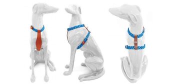 Petsochic dog harness blue - Y - Orange XXL 3