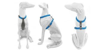 Petsochic dog harness blue - Y - Cognac XXL 3