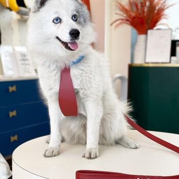 Petsochic dog harness blue - Y - Red XXL 3