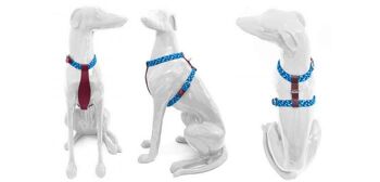 Petsochic dog harness blue - Y - Red XXL 4
