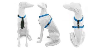 Petsochic dog harness blue - Y - Green XXL 3