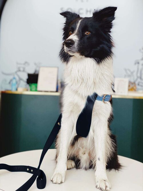 Petsochic dog harness blue - Y - Black XXL