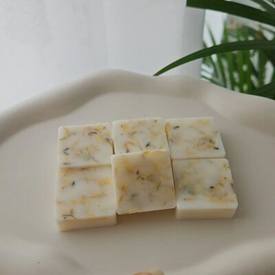 Botanical Scented Artisan Melts - Jasmine