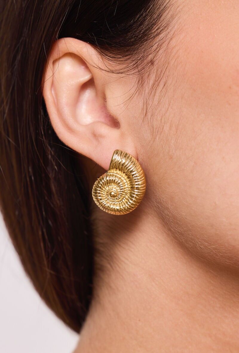 Orecchini in acciaio inossidabile 124AQ366