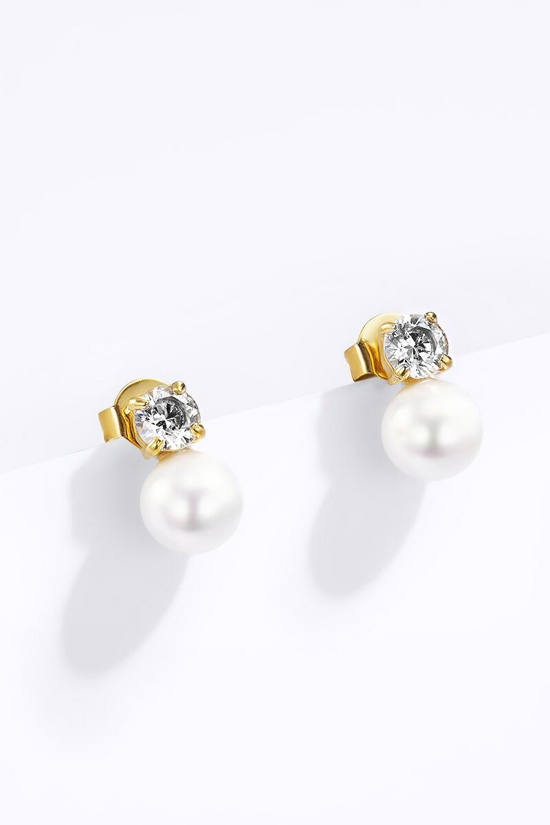 Orecchini in acciaio inossidabile 124AQ392