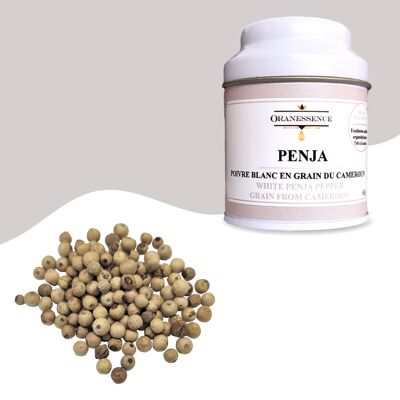 Poivre blanc de Penja (Cameroun)
