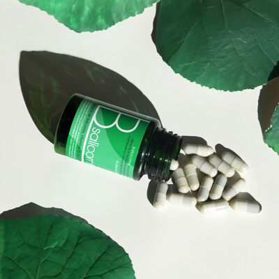 B-Salicornia – Estratto naturale di Salicornia con vitamine – Integratore alimentare per una sana alimentazione e la salute cardiovascolare – Prodotto naturale per erboristerie e farmacie – Integratore ricco di antiossidanti e minerali (30 capsule)
