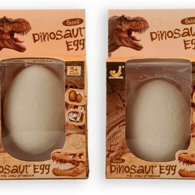 Yeso de tacones de dinosaurio fósil, blanco y negro