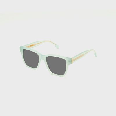 Lunettes de soleil FLM02 C3
