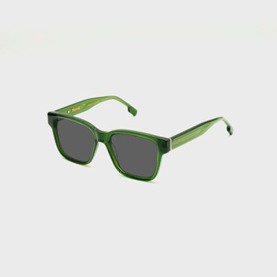 Lunettes de soleil FLM02 C2