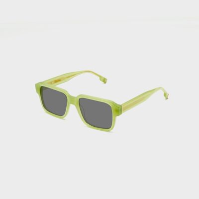 Lunettes de soleil FLM04 C2