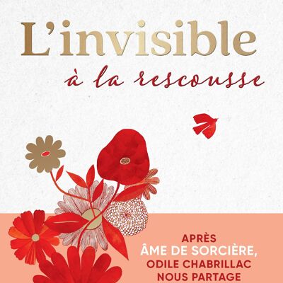 Book - The Invisible to the Rescue