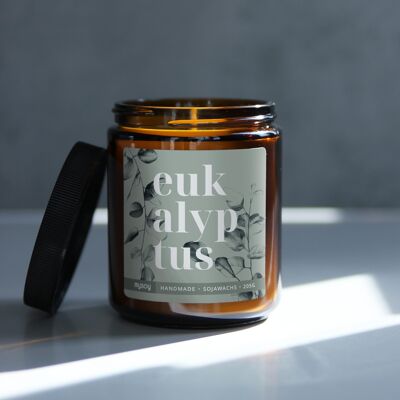 blooom scented candle in a glass | Eucalyptus