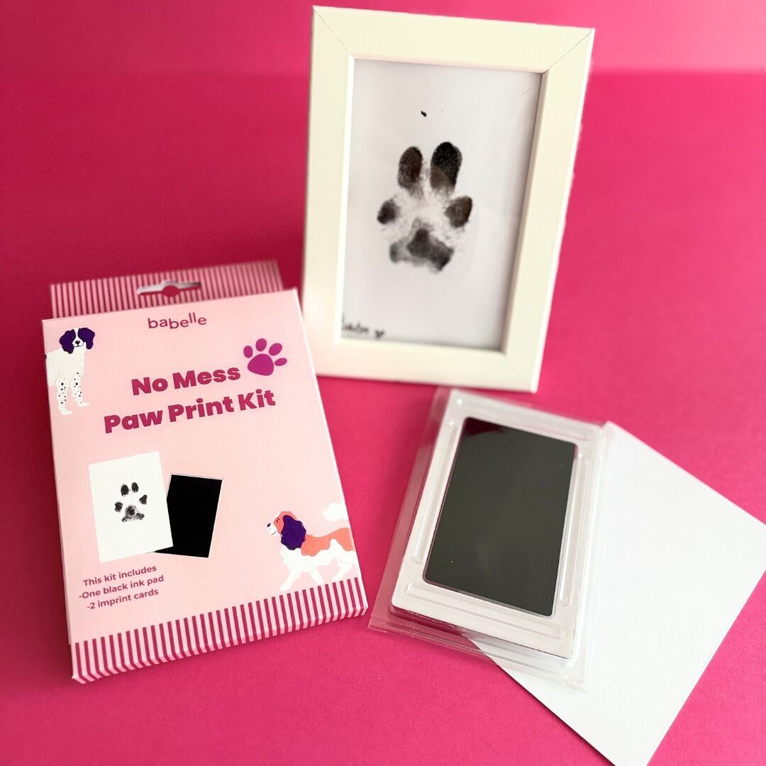 Kit impronta di zampa