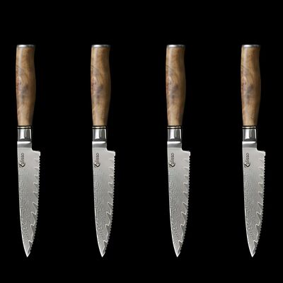 Steak knife set