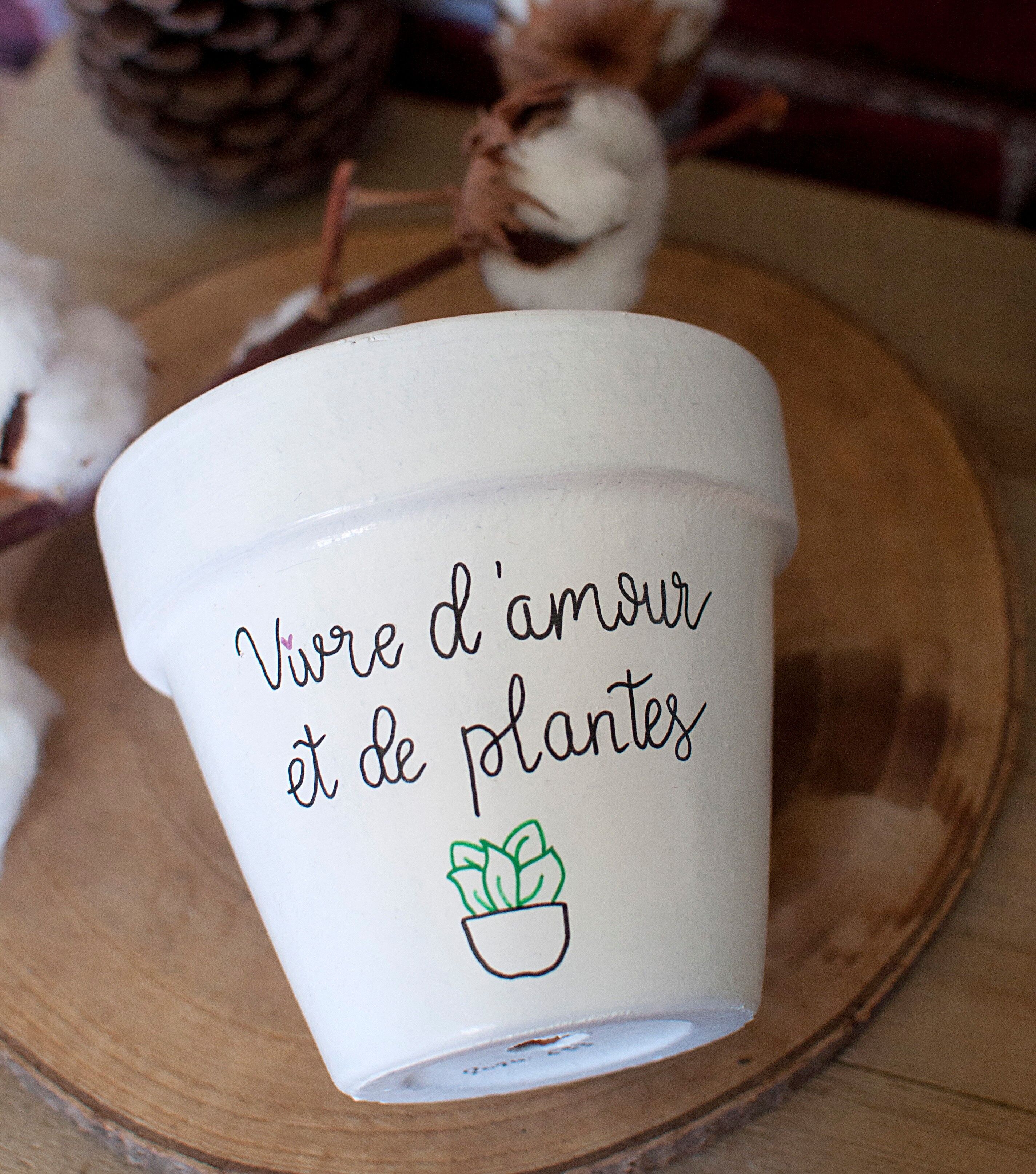 Vaso per piante / Vaso per fiori in terracotta "Vivere d'amore e di piante" [Vaso per piante originale / Vaso per fiori originale / Vaso umoristico]