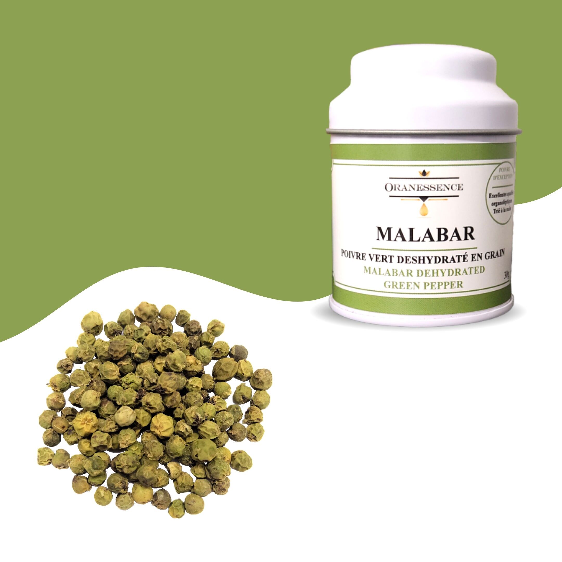 Pepe verde del Malabar (India)