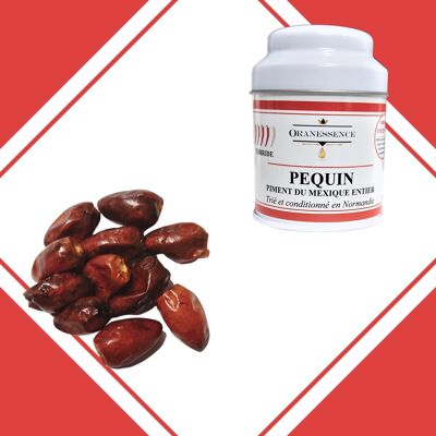 Pequin Pepper - TORRIDE