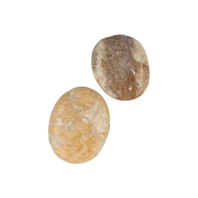 Pietra tascabile di corallo fossile