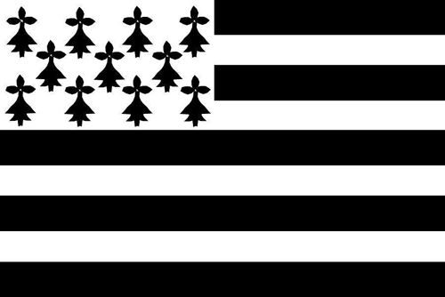 Eponge de menage reg18-drapeau breton