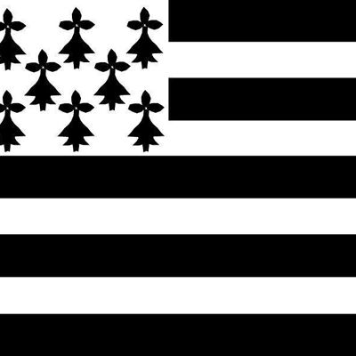Eponge de menage reg18-drapeau breton