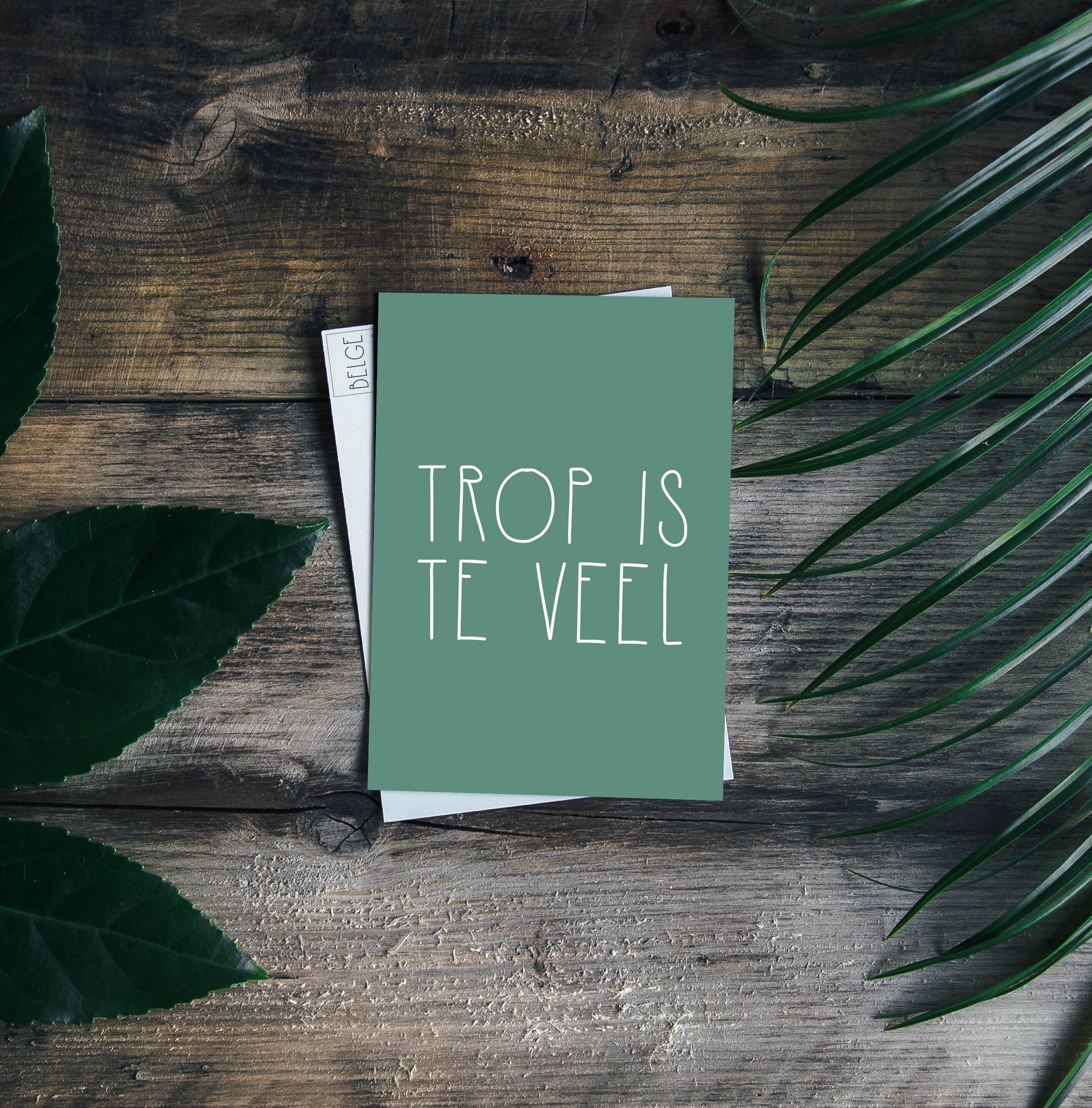 Cartolina Trop è te veel