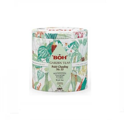 BOH Garden Tea Bukit Cheeding No. 53 15 sacchetti piramidali in una lattina