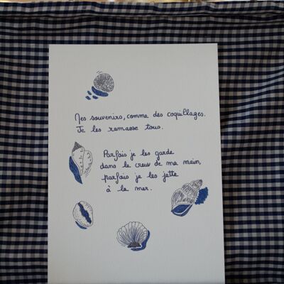 Illustration "Mes souvenirs, comme des coquillages" - format A5