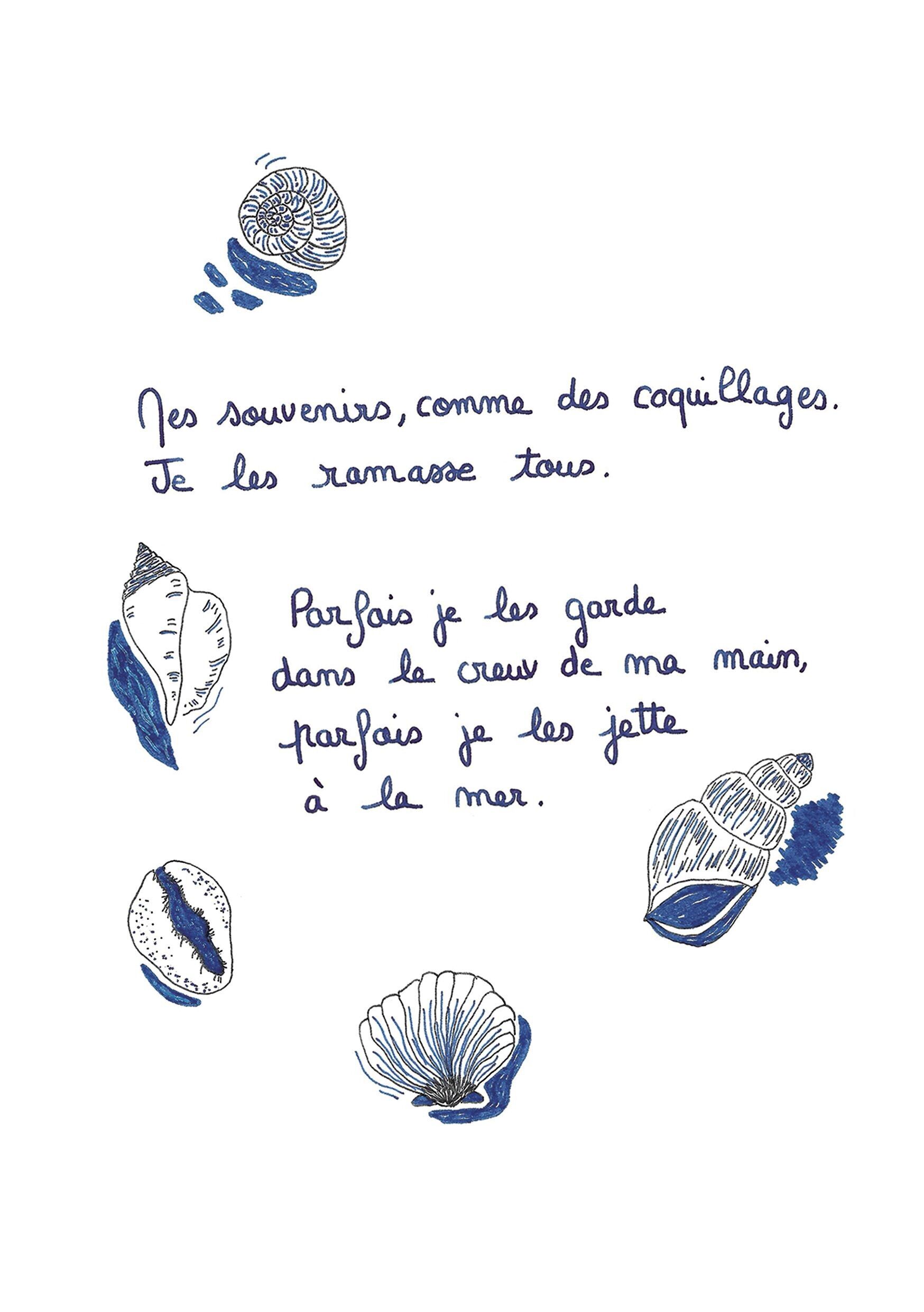 Illustration "Mes souvenirs, comme des coquillages" - format A5
