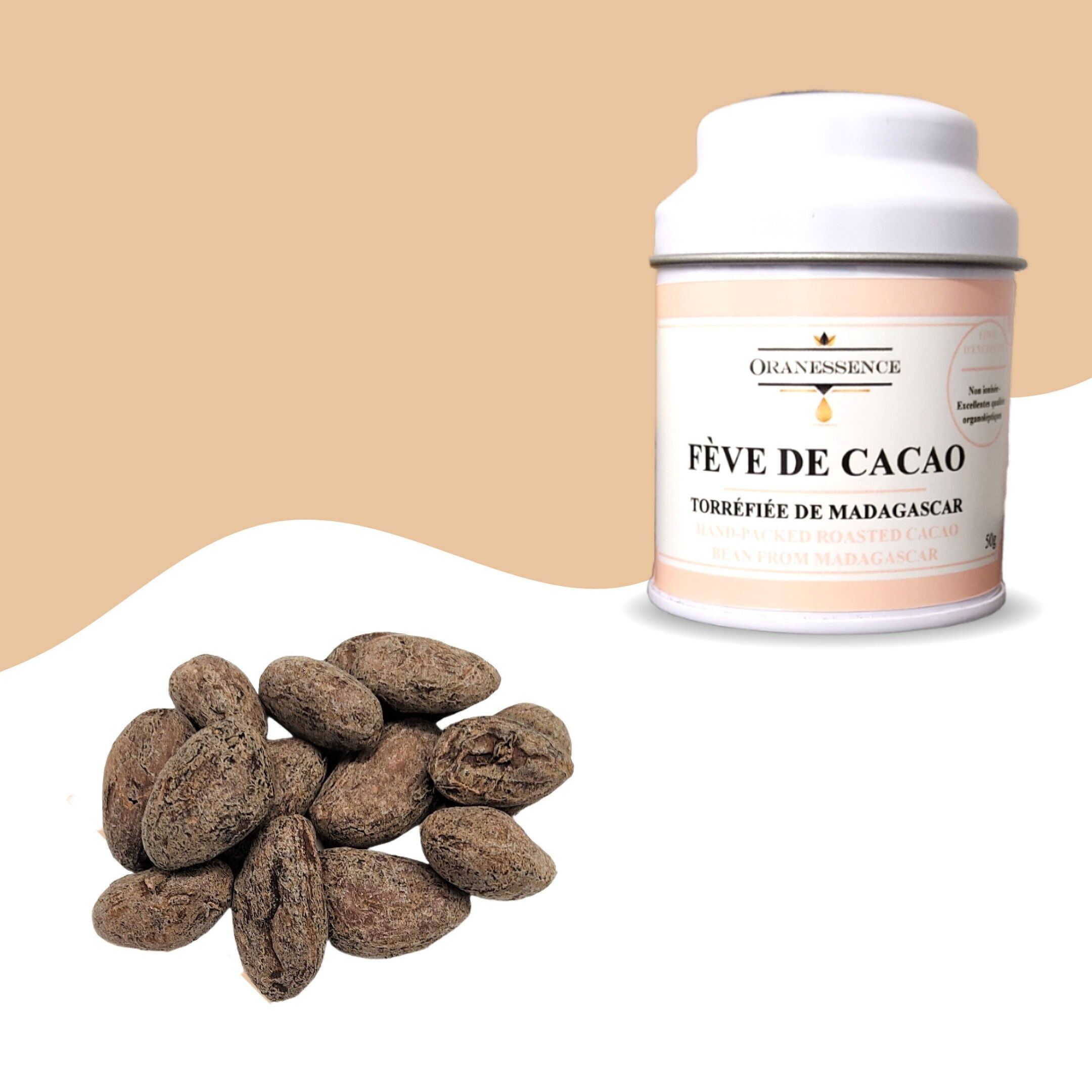 Fève de cacao torréfiée