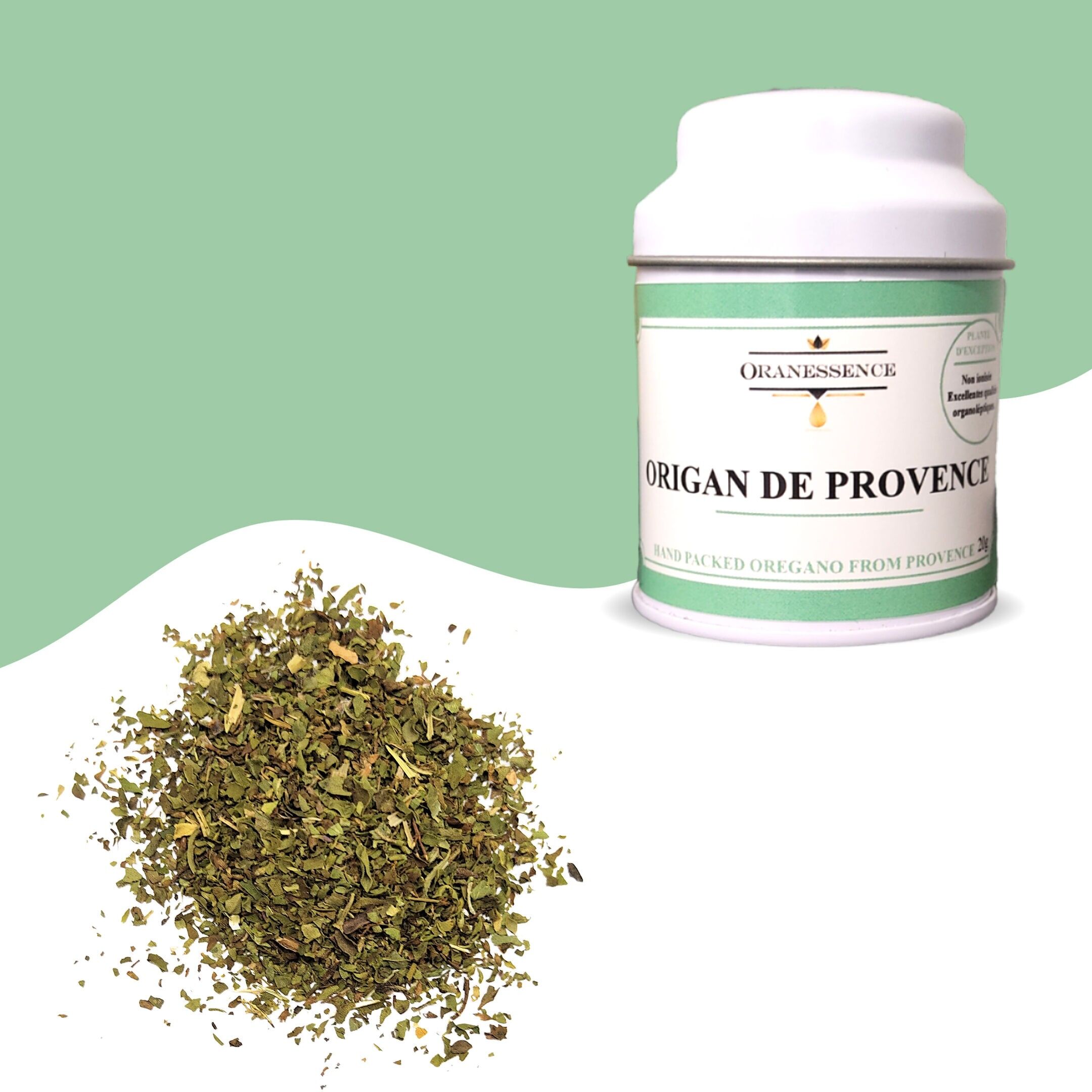 Origano della Provenza