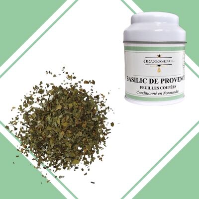 Basilic de Provence
