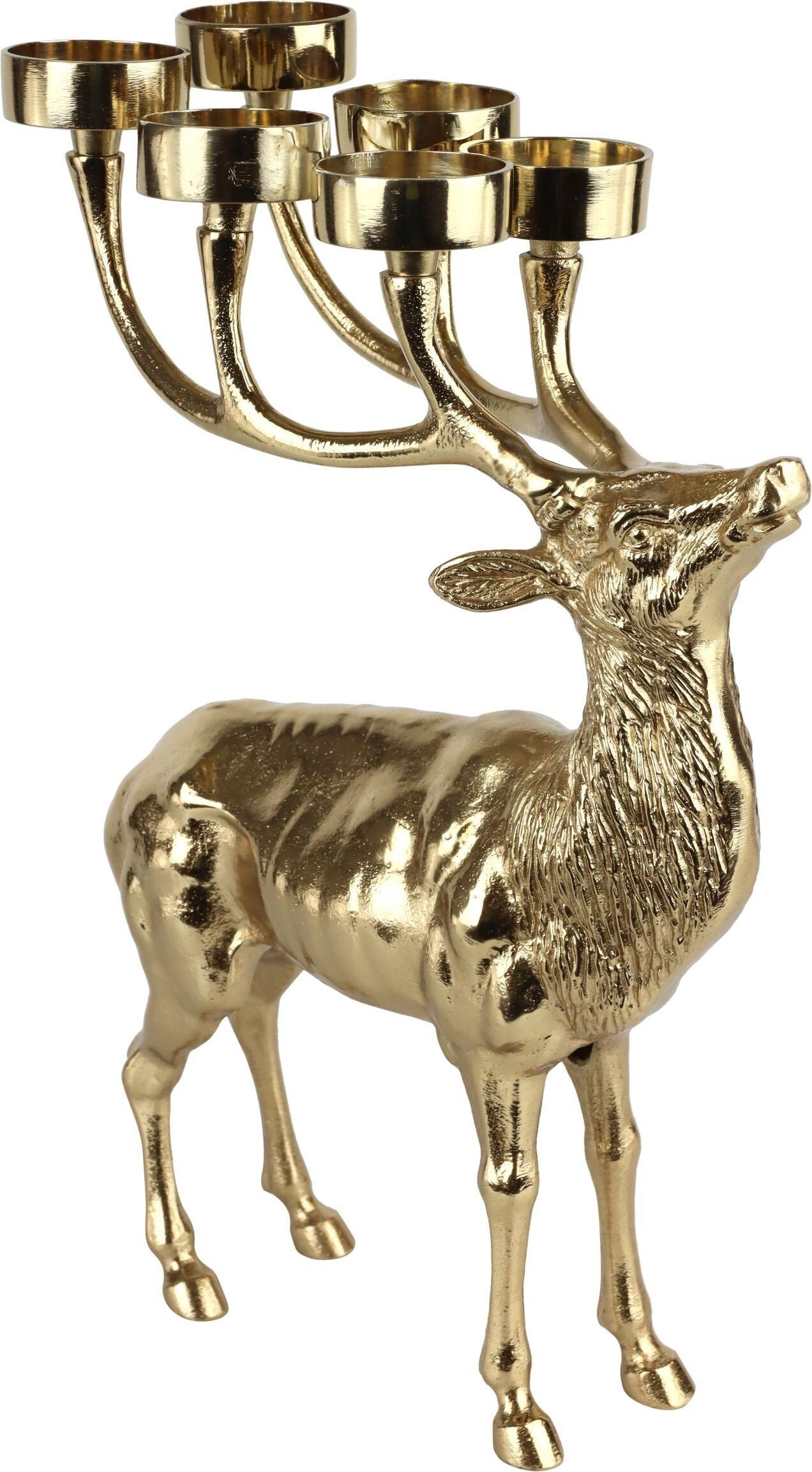 LEUCHTER HIRSCH  (HOFF5066)