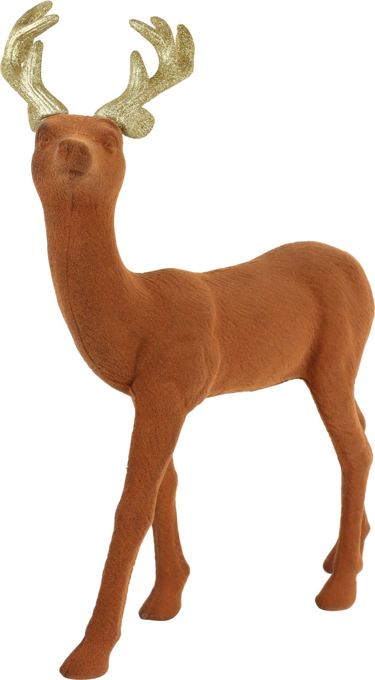 PLATZHIRSCH WALDEMAR  (HOFF5718)