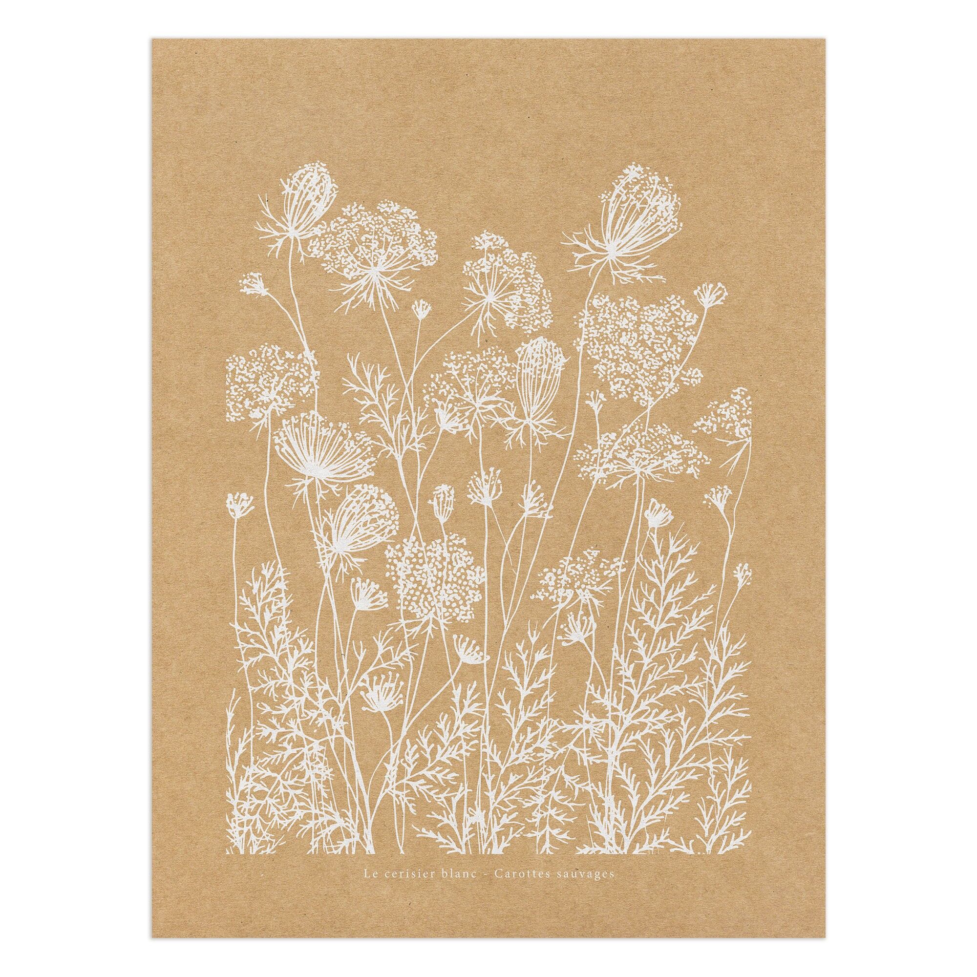 Manifesto Kraft "Carote selvatiche"