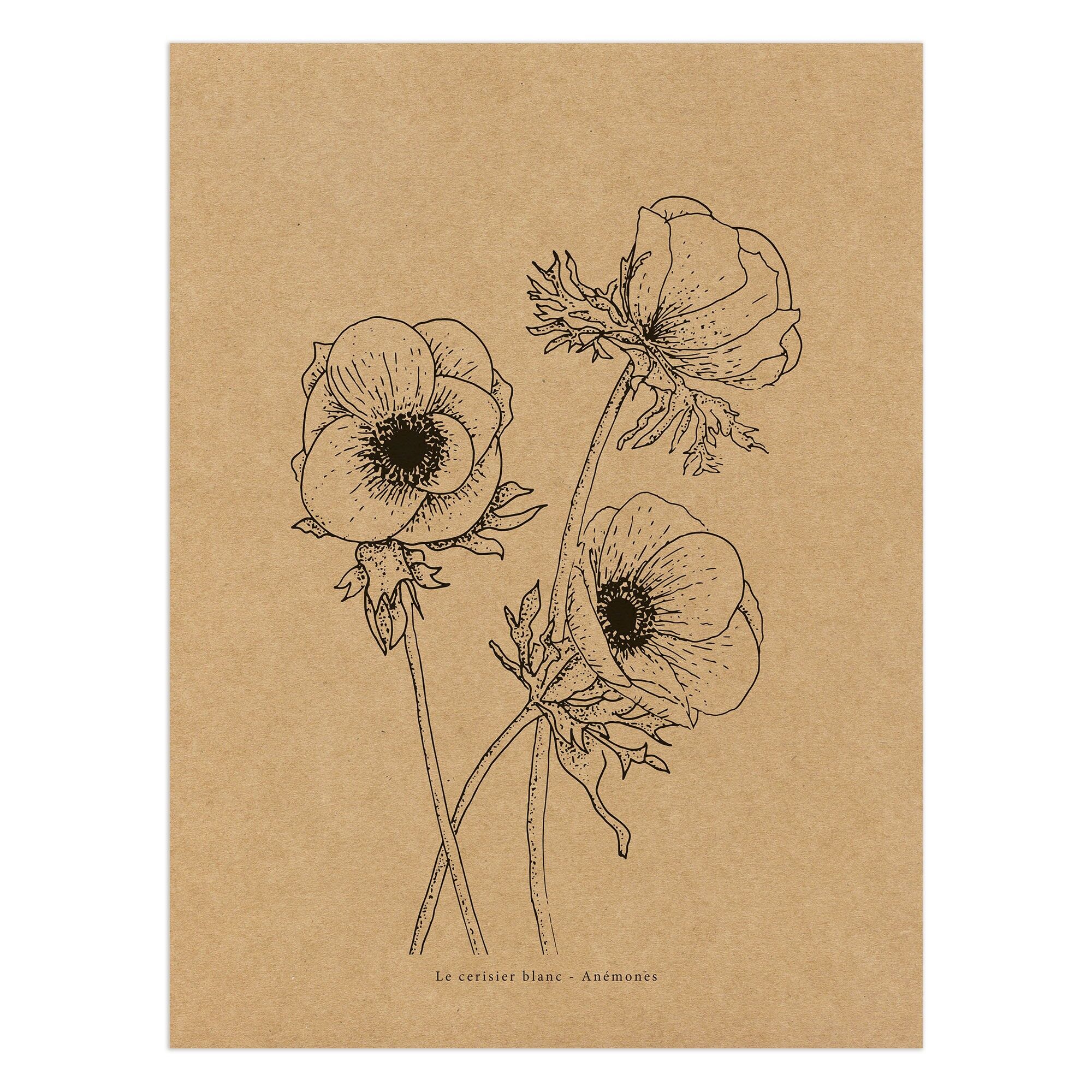 Manifesto Kraft "Anemoni"