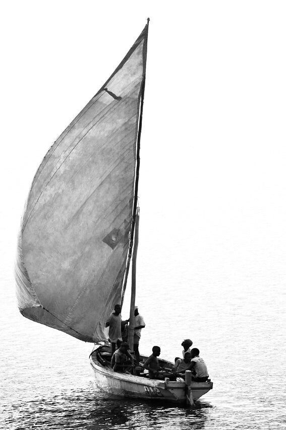 David Ballam - Ilha 36