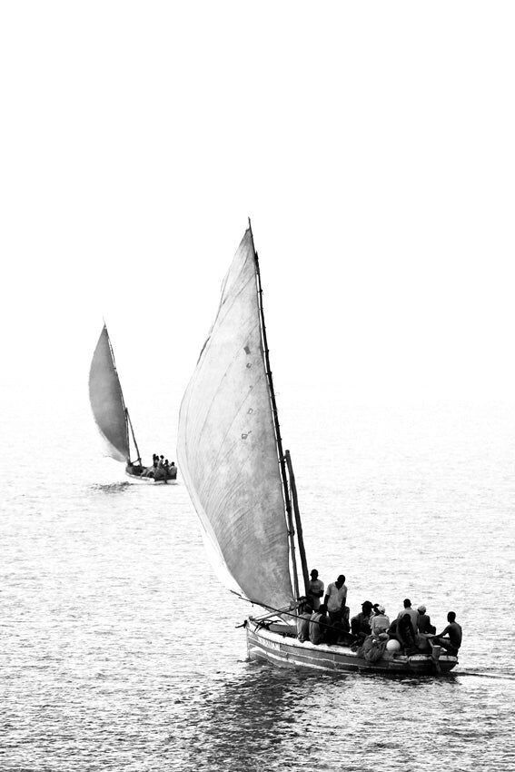 David Ballam - Ilha 38