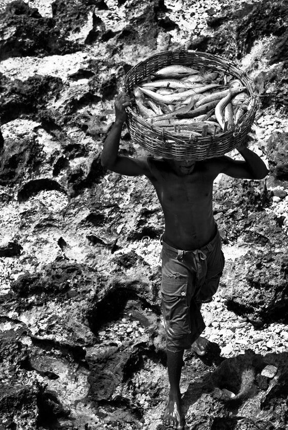 David Ballam - Ilha 80