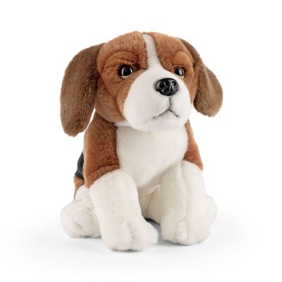 Peluche Beagle de Living Nature