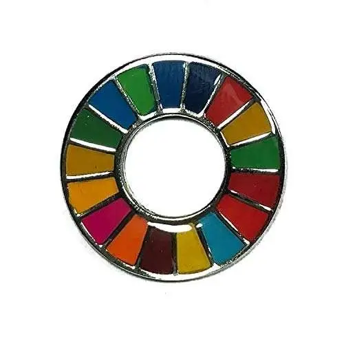Achat Épingler les Objectifs de développement durable (ODD) - Programme ...