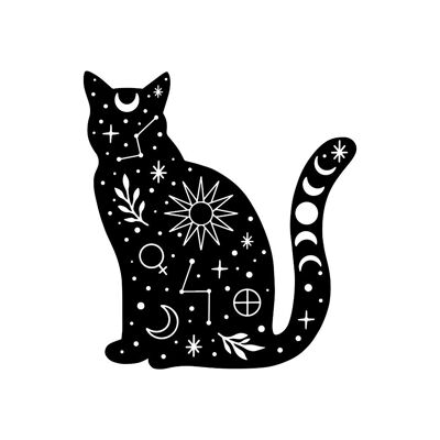 GATTO NERO