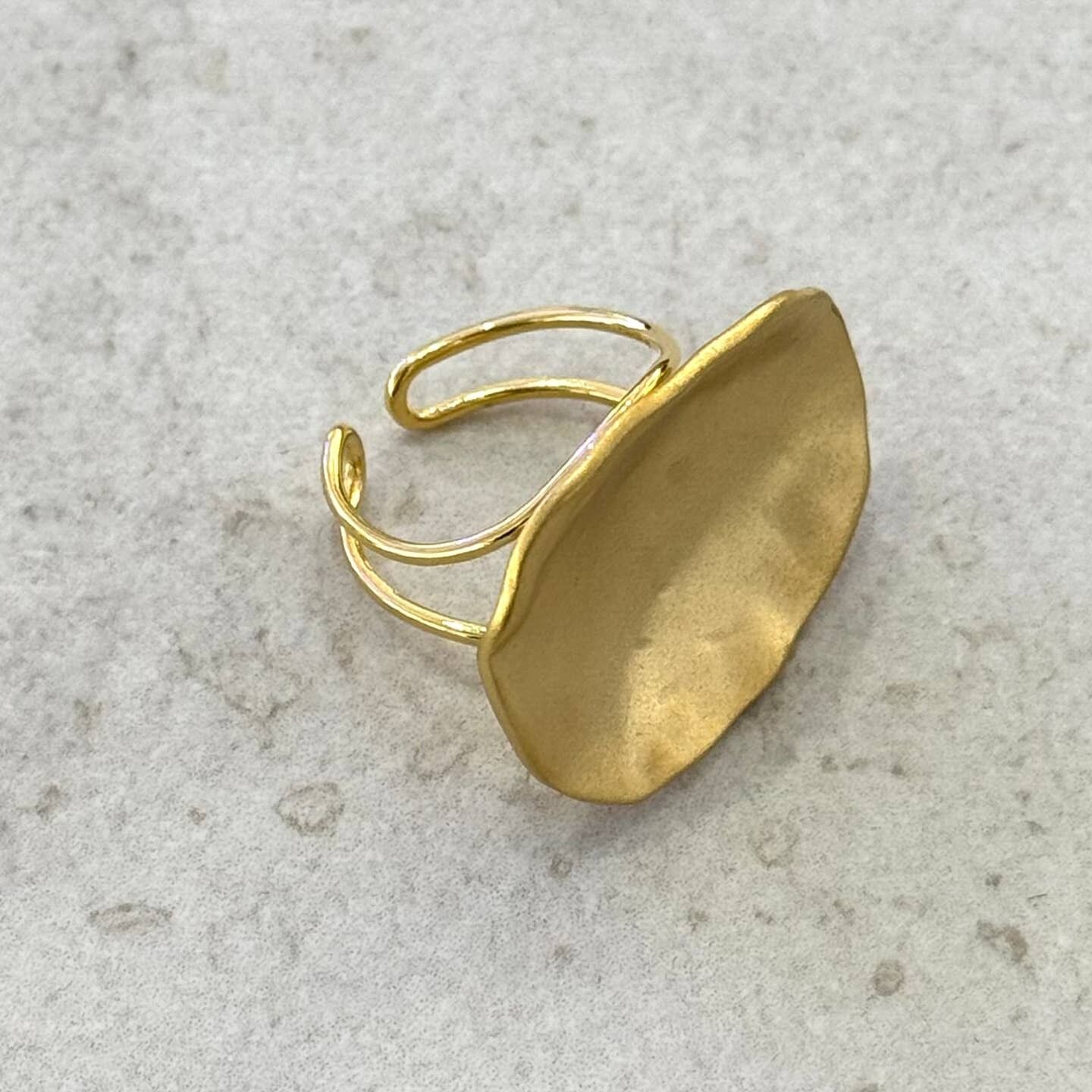 Glenn Matte Gold Adjustable Stainless Steel Ring 